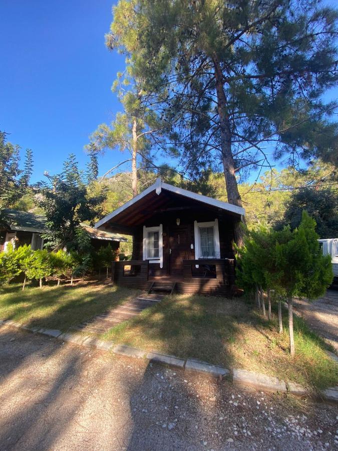 Green Pine Bungalows & Beach Luxury Concept Олудениз Экстерьер фото